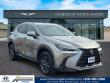 Used 2024 Lexus NX 350  SUV