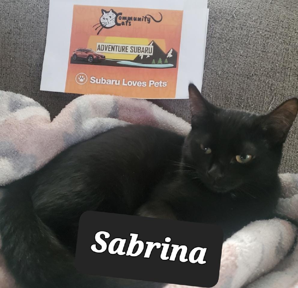 sabrina.jpeg
