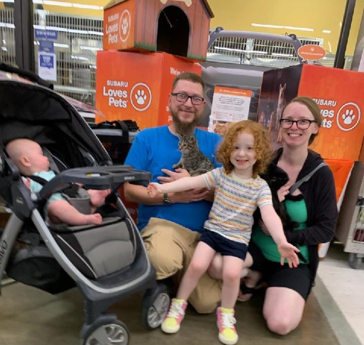 adoption.jpeg