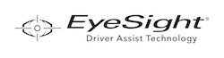 EyeSight250.jpg