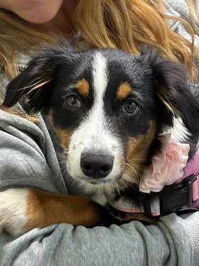 Staff member Penny from ID_88d266