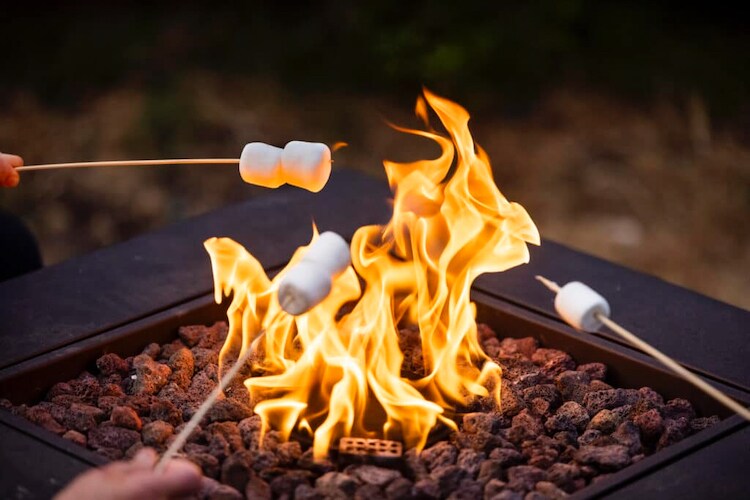Marshmallow roasting at Frost