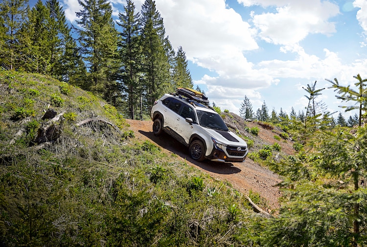 Forester Wilderness Interior