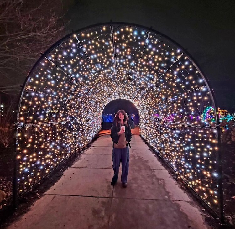 Holiday lights display at Frost