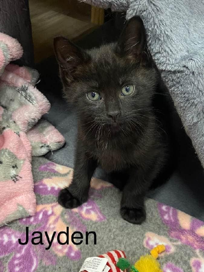 jayden.jpeg