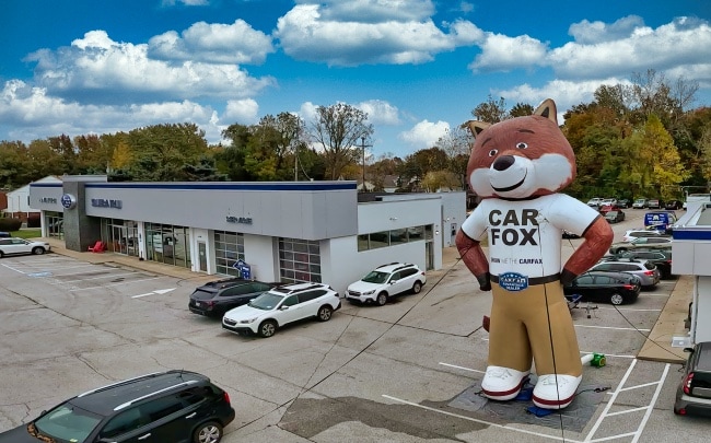 carfox.jpg
