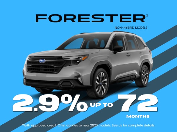 FORESTER.png