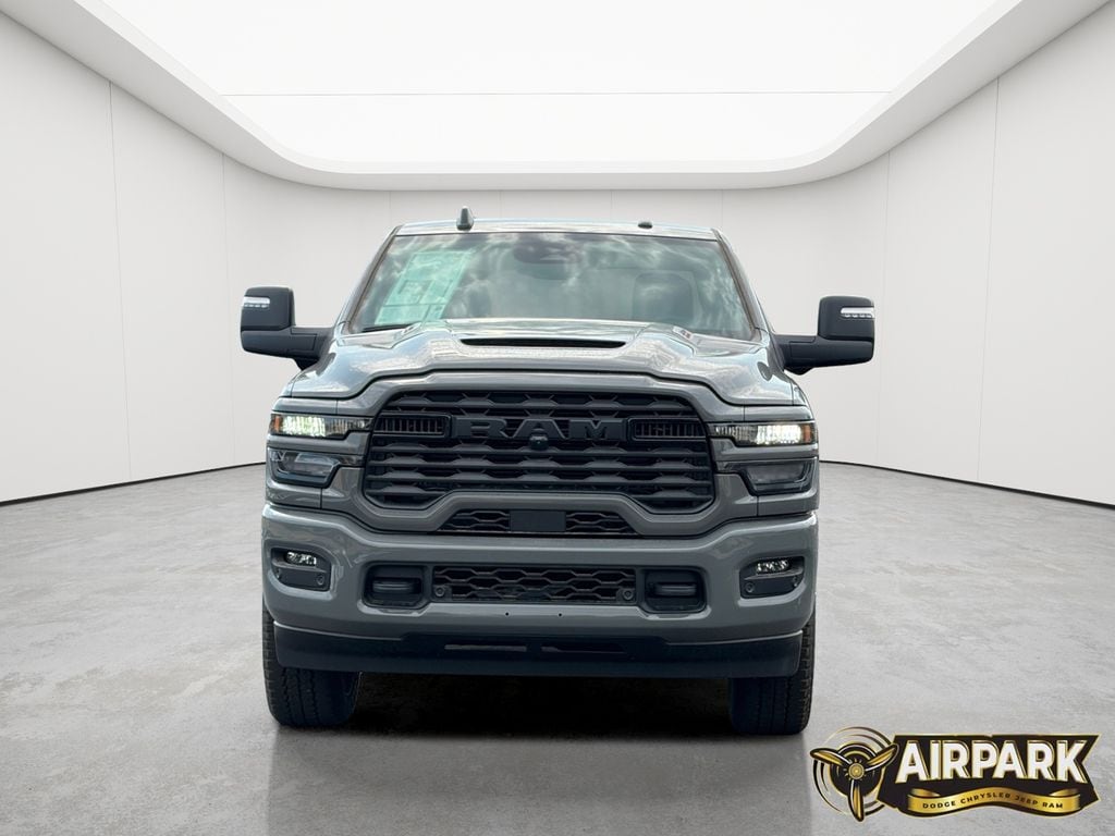 New 2026 Ceramic Gray Ram Big Horn image 5