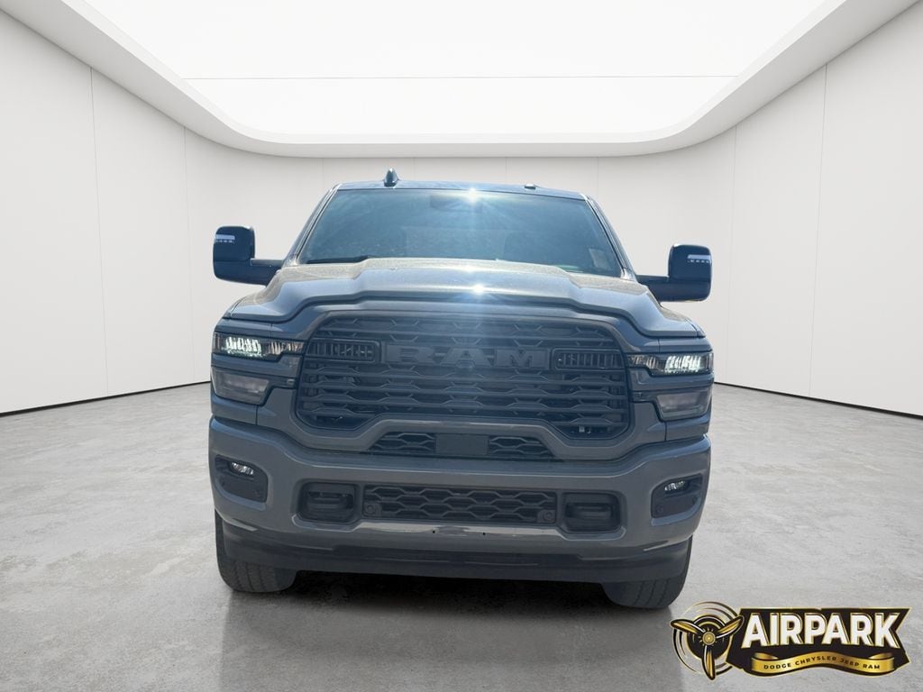New 2026 Ceramic Gray Ram Big Horn image 9