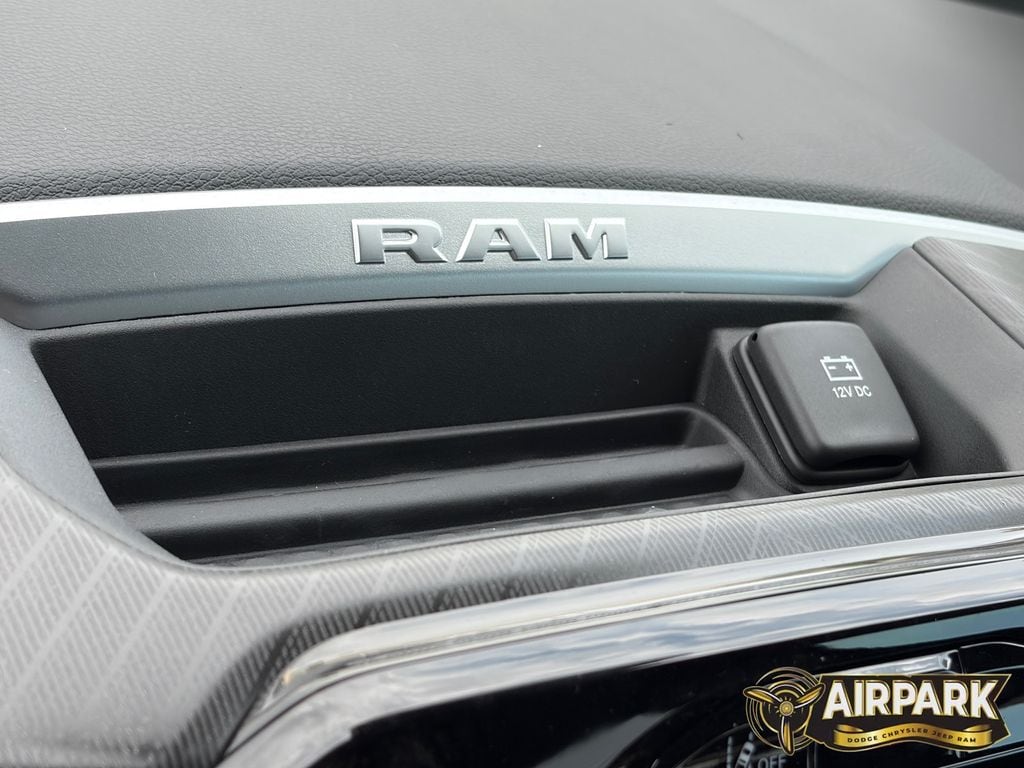 New 2026 Ceramic Gray Ram Big Horn image 26