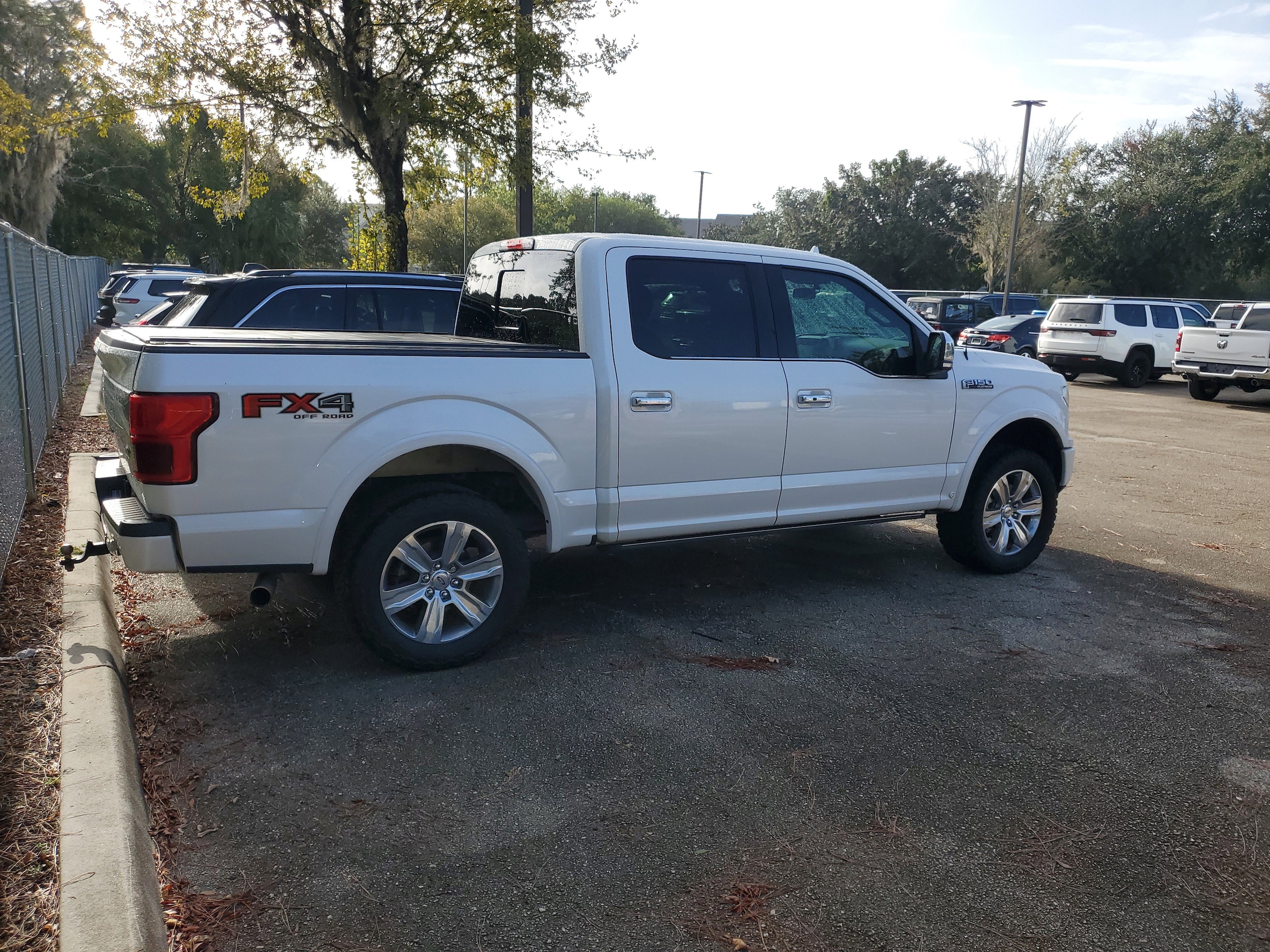 2018 Ford F-150 Platinum photo 3