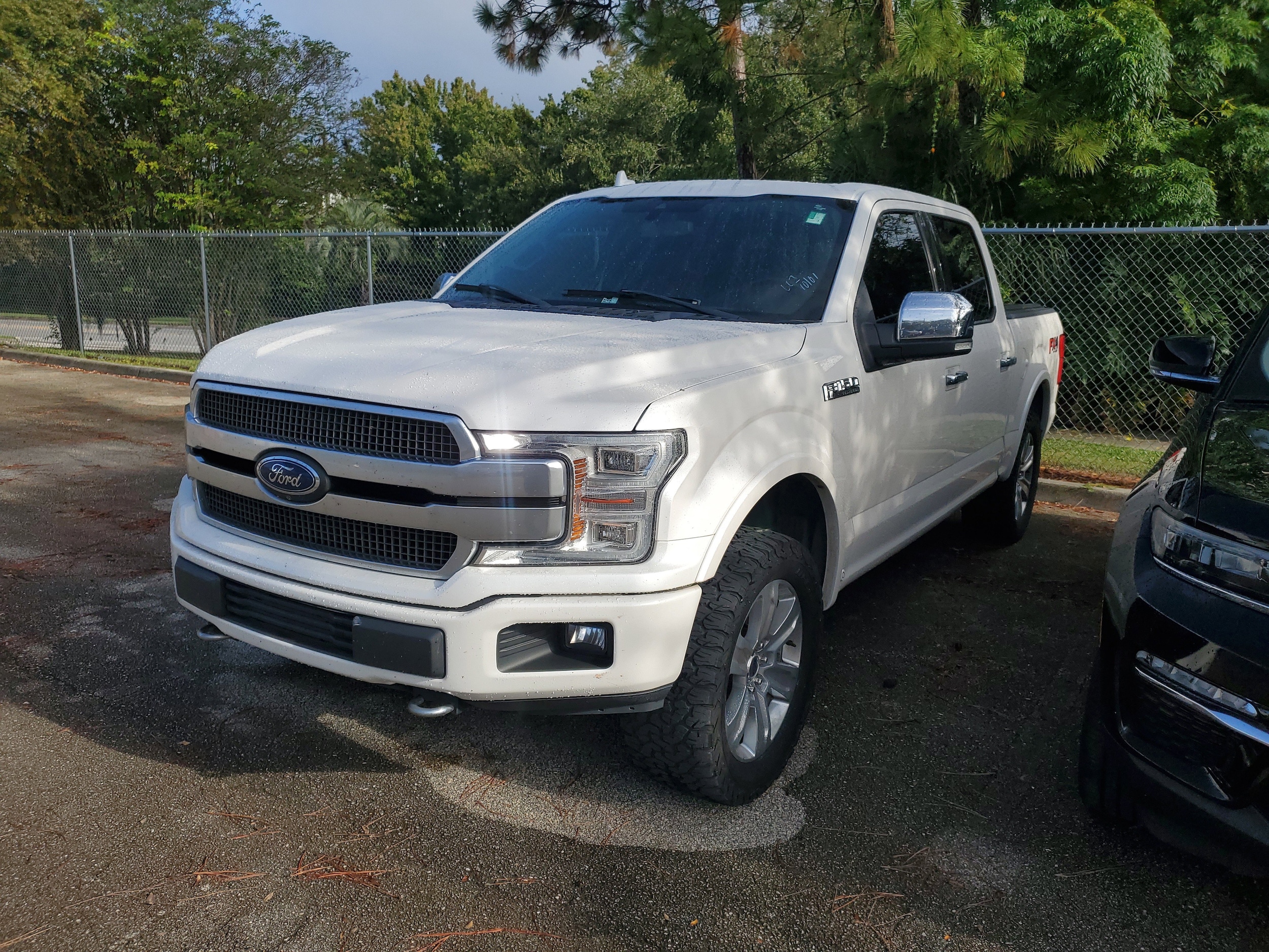 2018 Ford F-150 Platinum photo 2