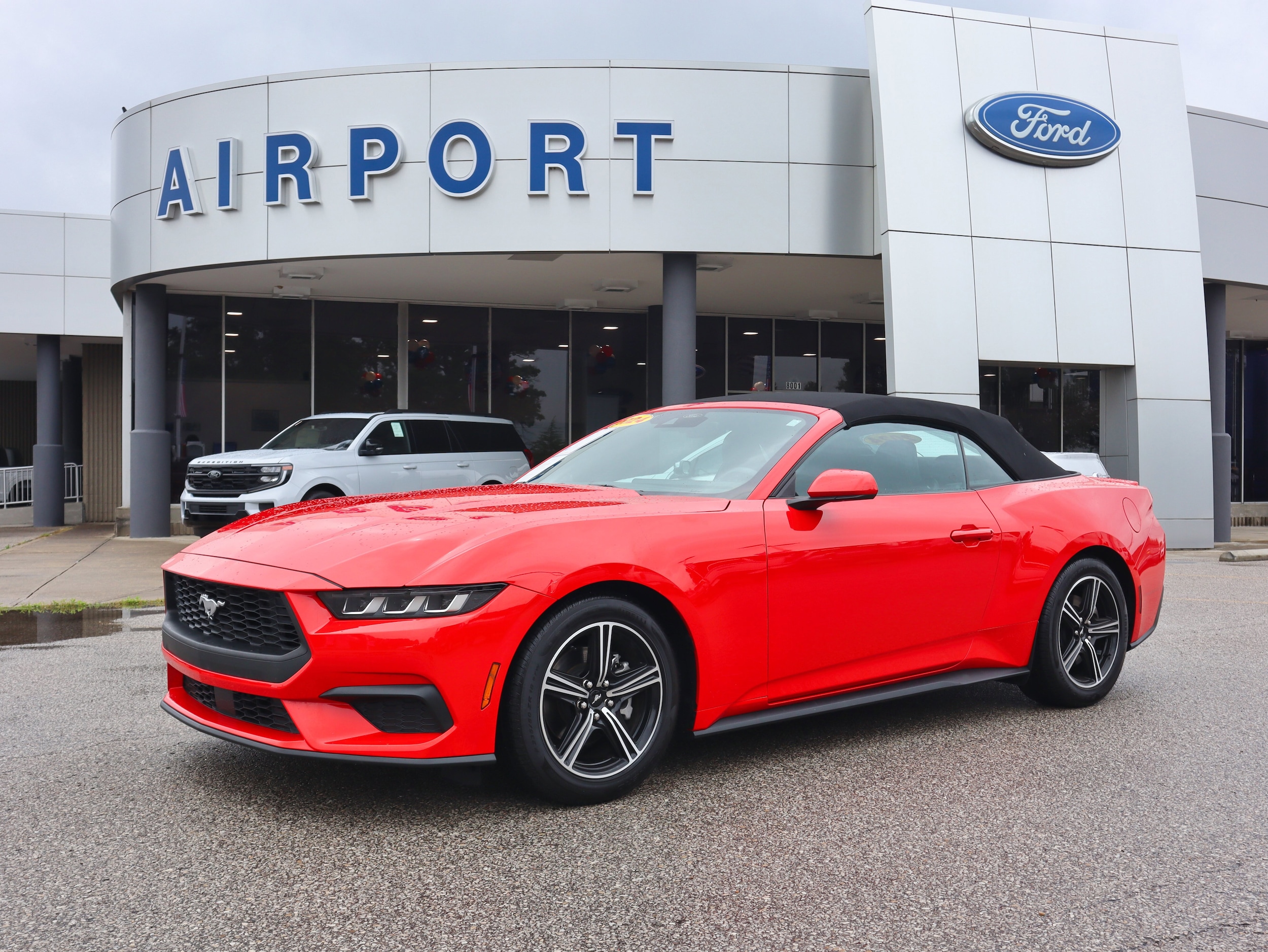 Used 2024 Ford Mustang EcoBoost Premium with VIN 1FAGP8UH8R5133698 for sale in Florence, KY