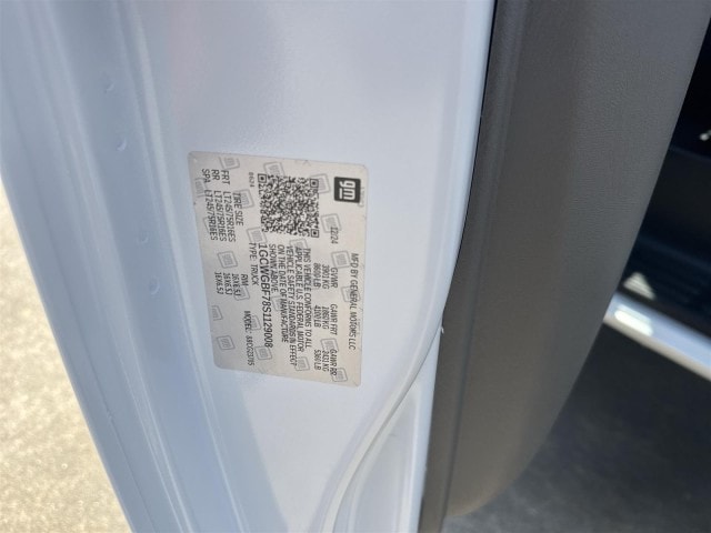 2025 Chevrolet Express Cargo Work Van - Photo 30