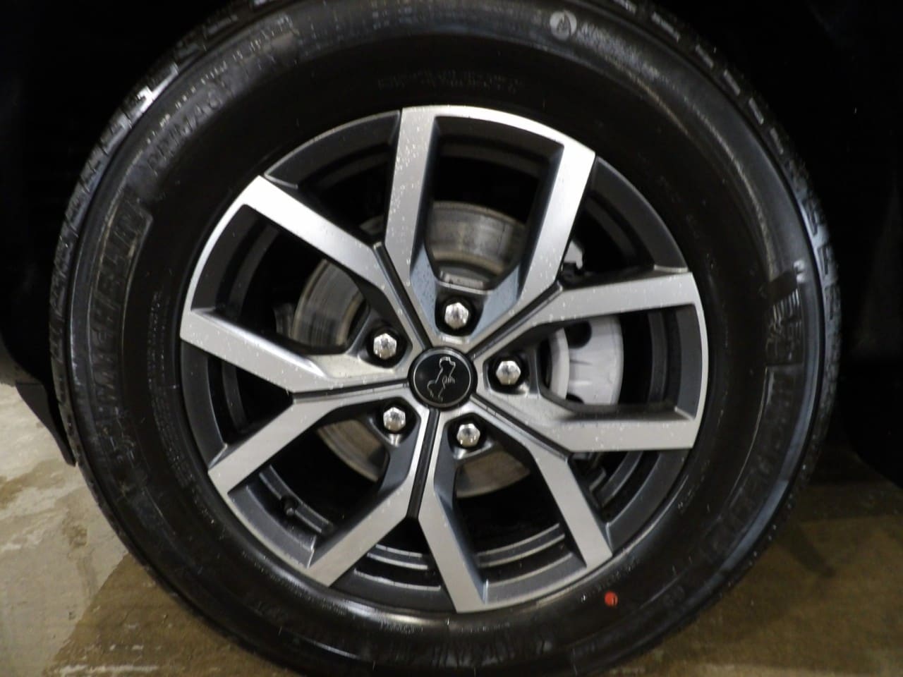 Photo 5