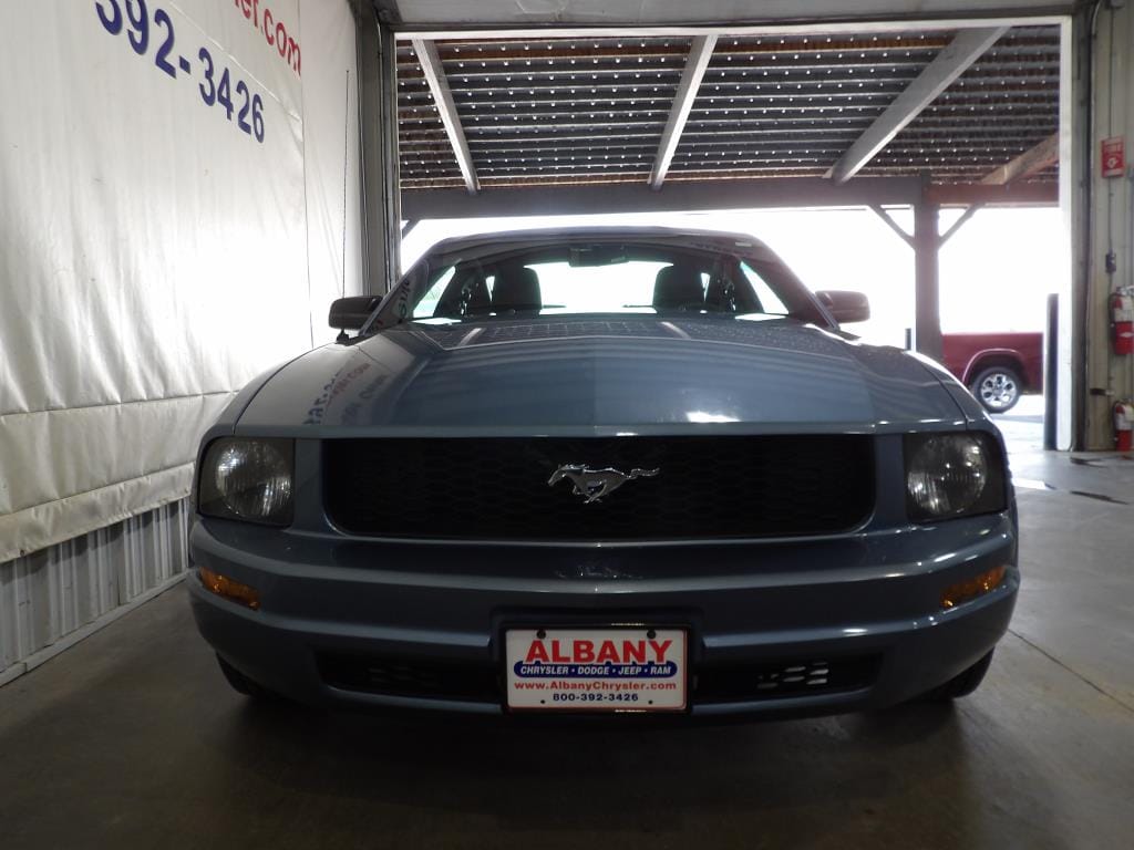 Used 2005 Ford Mustang Premium with VIN 1ZVFT80N455111542 for sale in Albany, MN