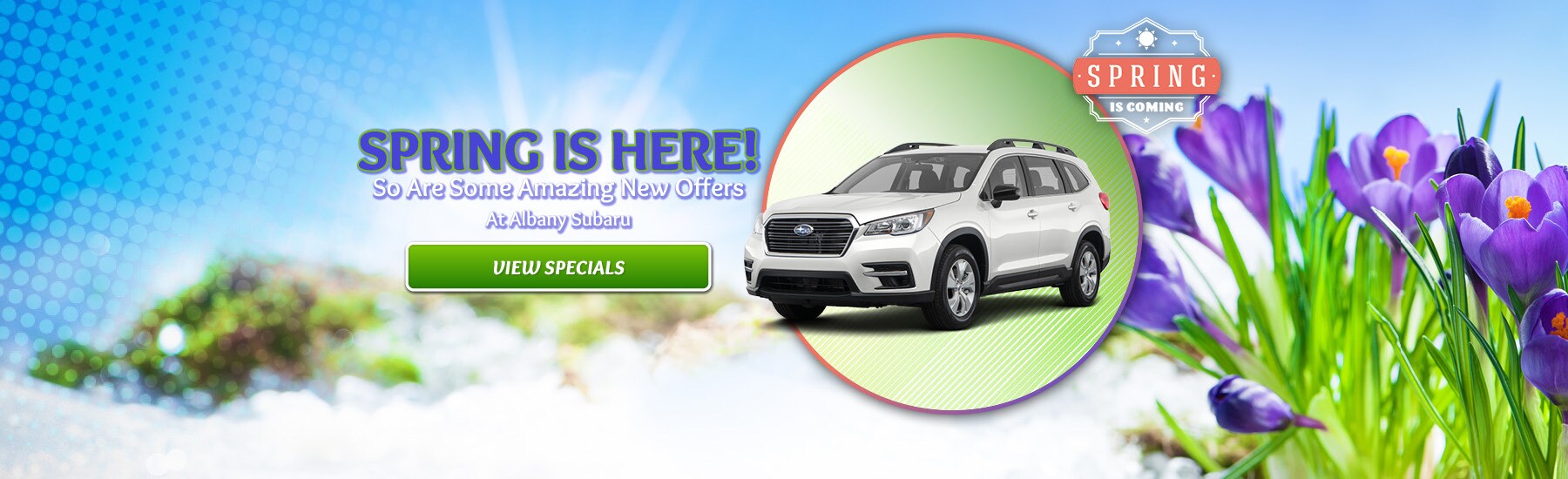 Albany Subaru New Subaru & Used Car Dealer Berkeley & Richmond CA