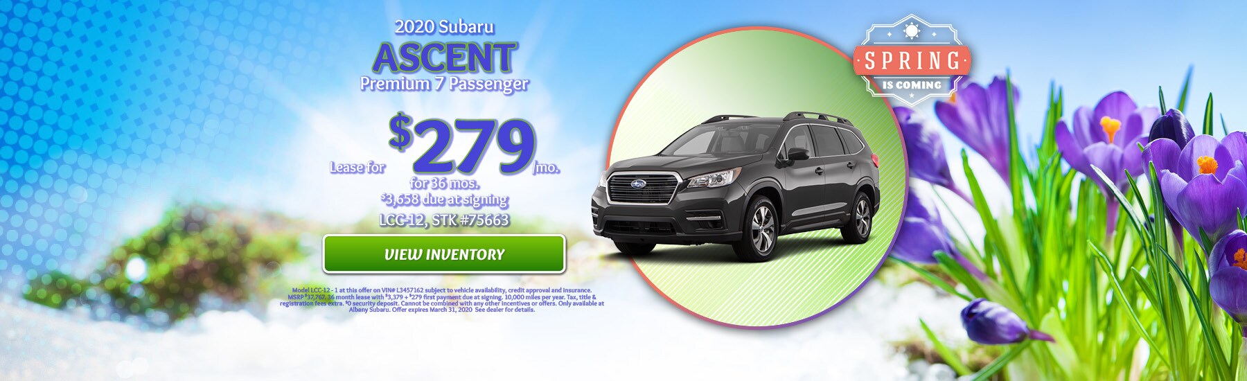 Albany Subaru New Subaru & Used Car Dealer Berkeley & Richmond CA