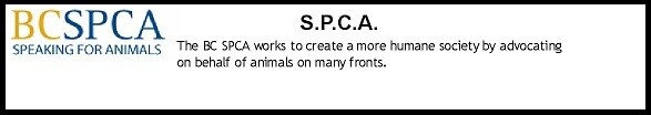  BCSPCA - PAGE.jpg