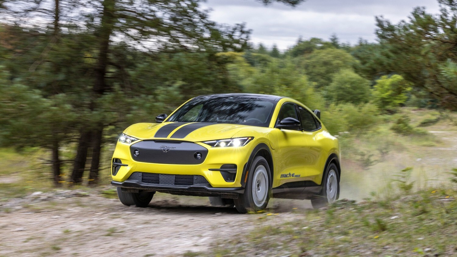 New Ford Mustang Mach-E