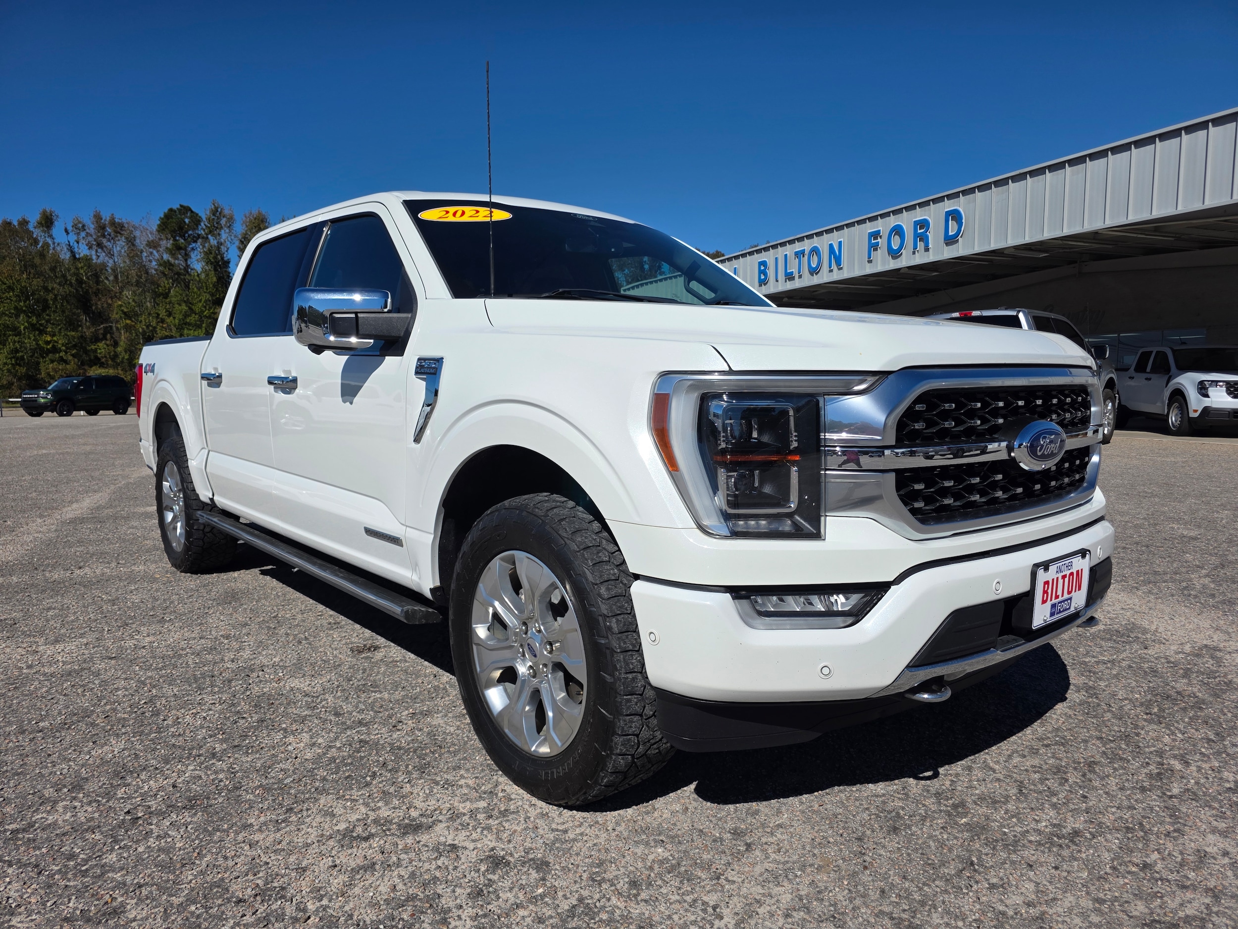 2022 Ford F-150 Platinum's photo