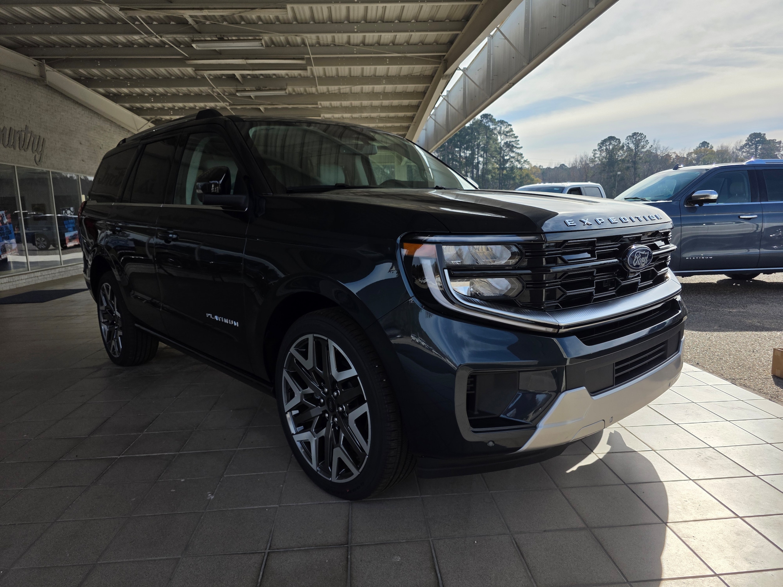 2025 Ford Expedition Platinum's photo