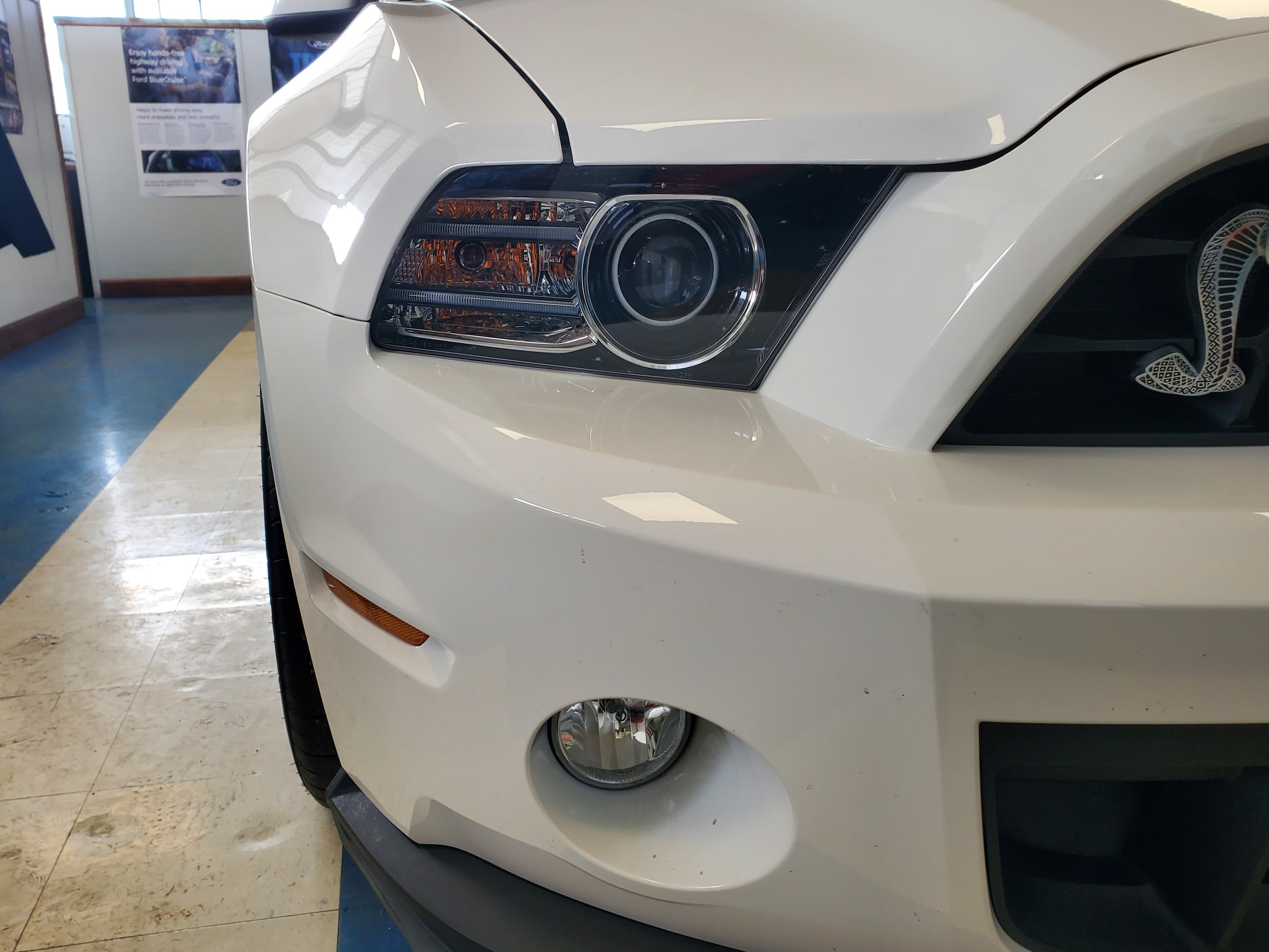 2013 Ford Mustang Shelby GT500 - Photo 9