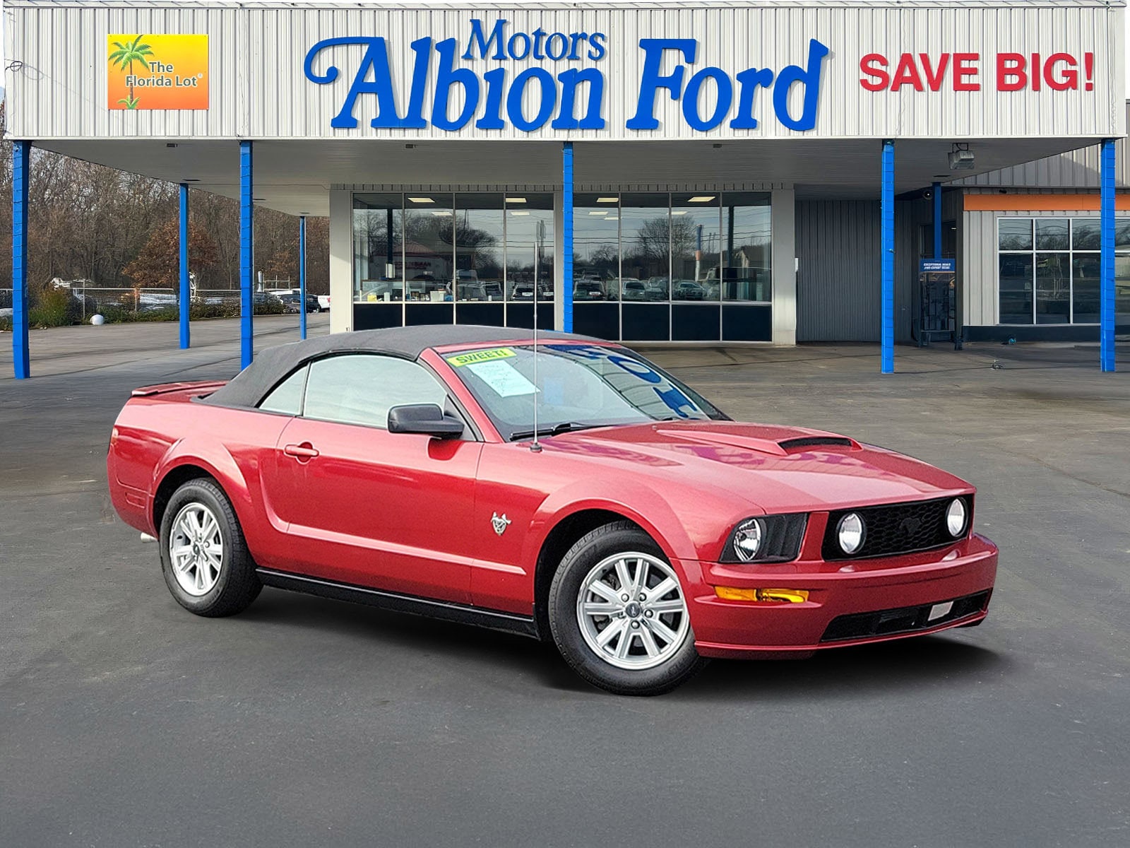 2009 Ford Mustang Premium's photo