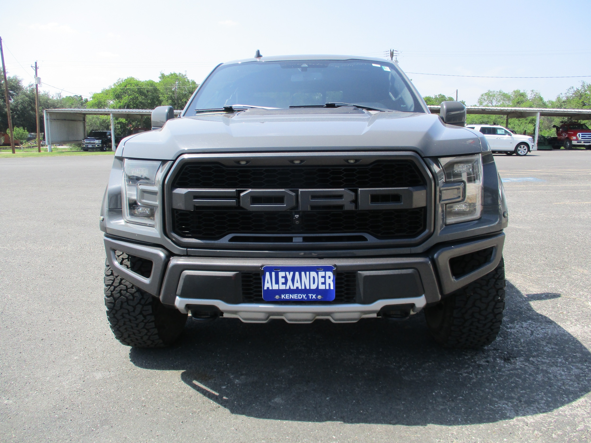 Used 2020 Ford F-150 Raptor with VIN 1FTFW1RG5LFB08484 for sale in Kenedy, TX