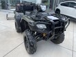  Honda Rubicon
