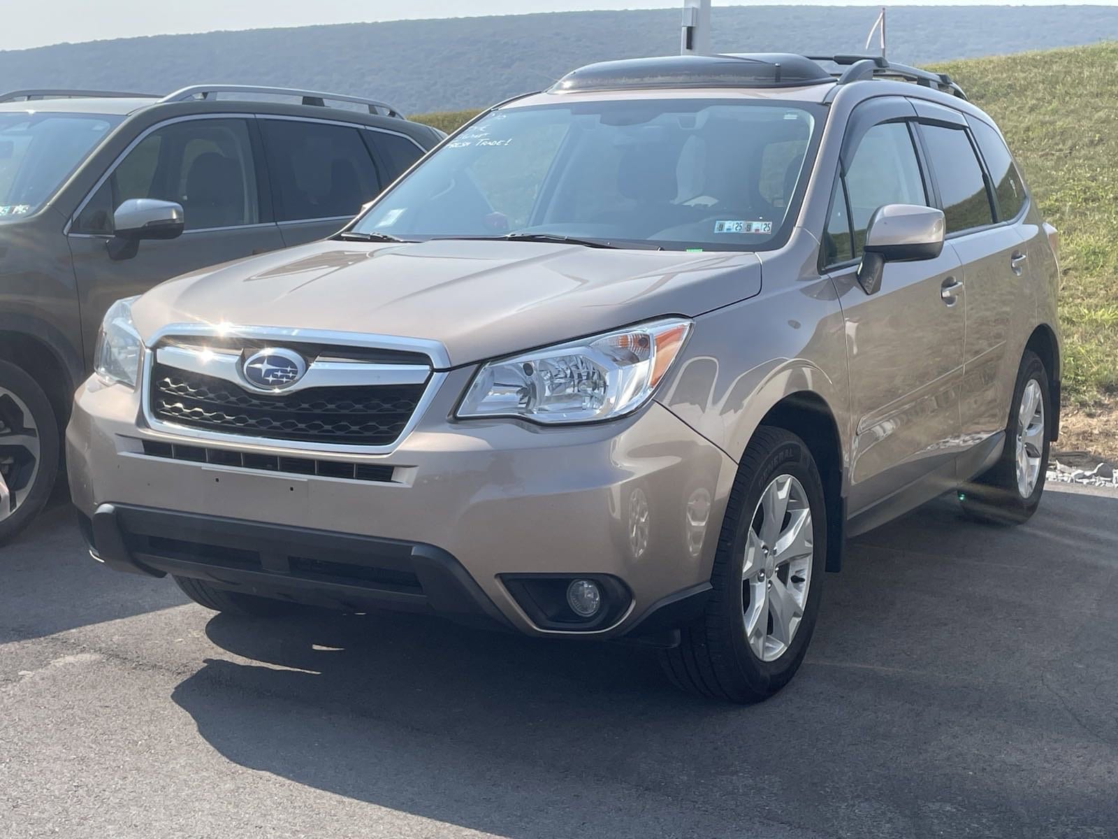 Used 2016 Subaru Forester i Premium with VIN JF2SJAFC3GH400855 for sale in Muncy, PA