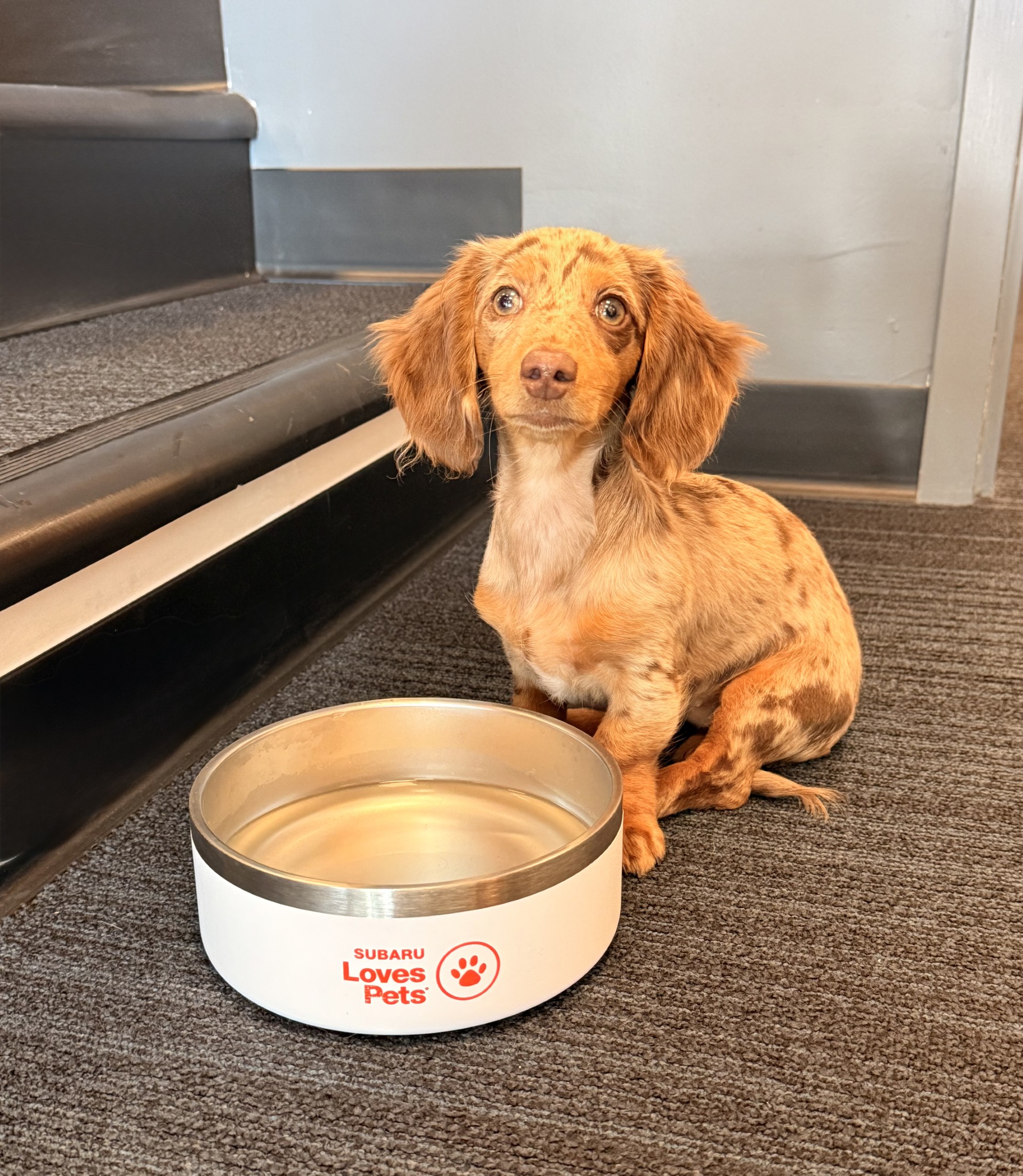 Staff member Coco from b9d88f7b0d3b