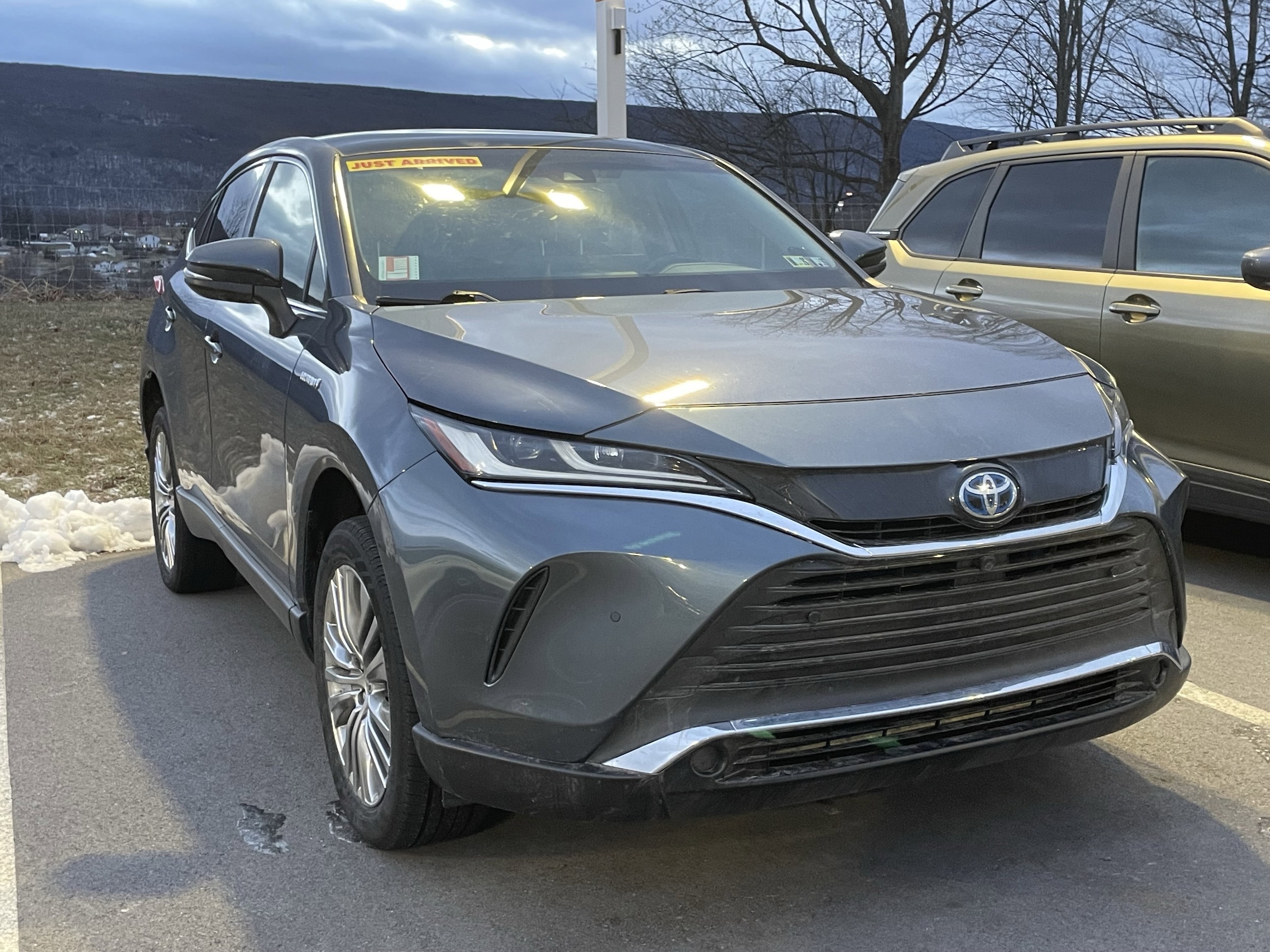 2021 Toyota Venza Limited's photo