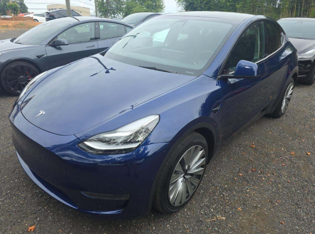  Tesla Model Y