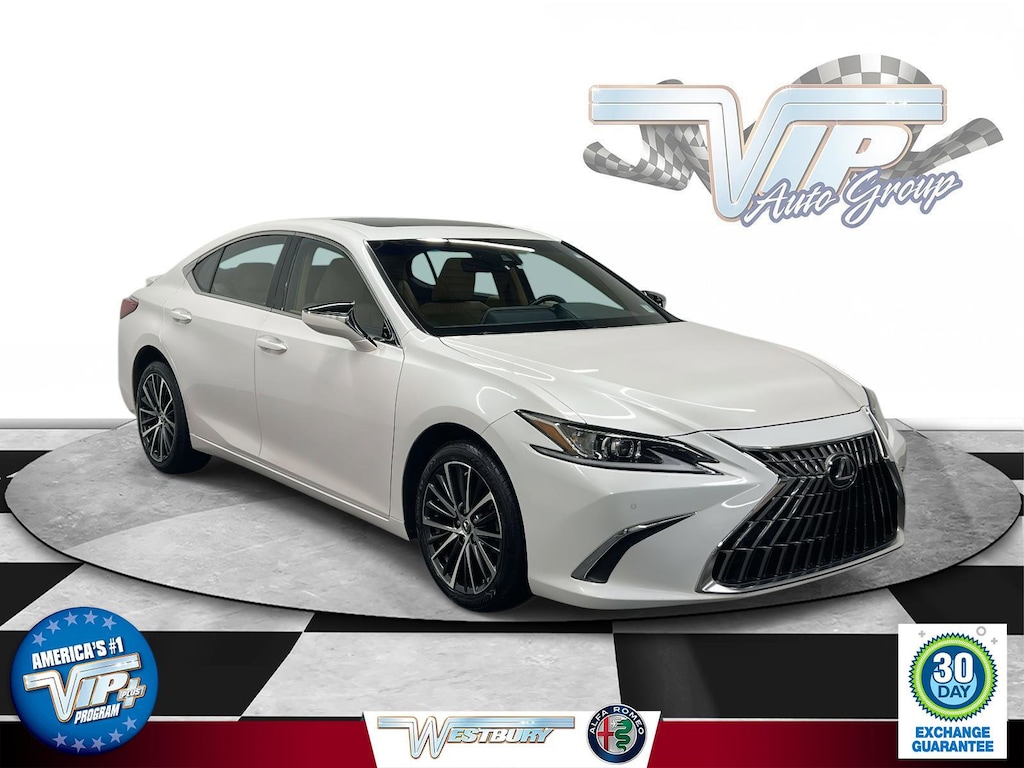 Used 2022 Lexus ES 250 Luxury Sedan