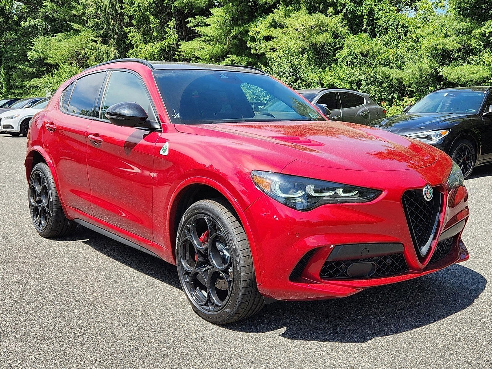 2024 Alfa Romeo Stelvio Quadrifoglio photo 2