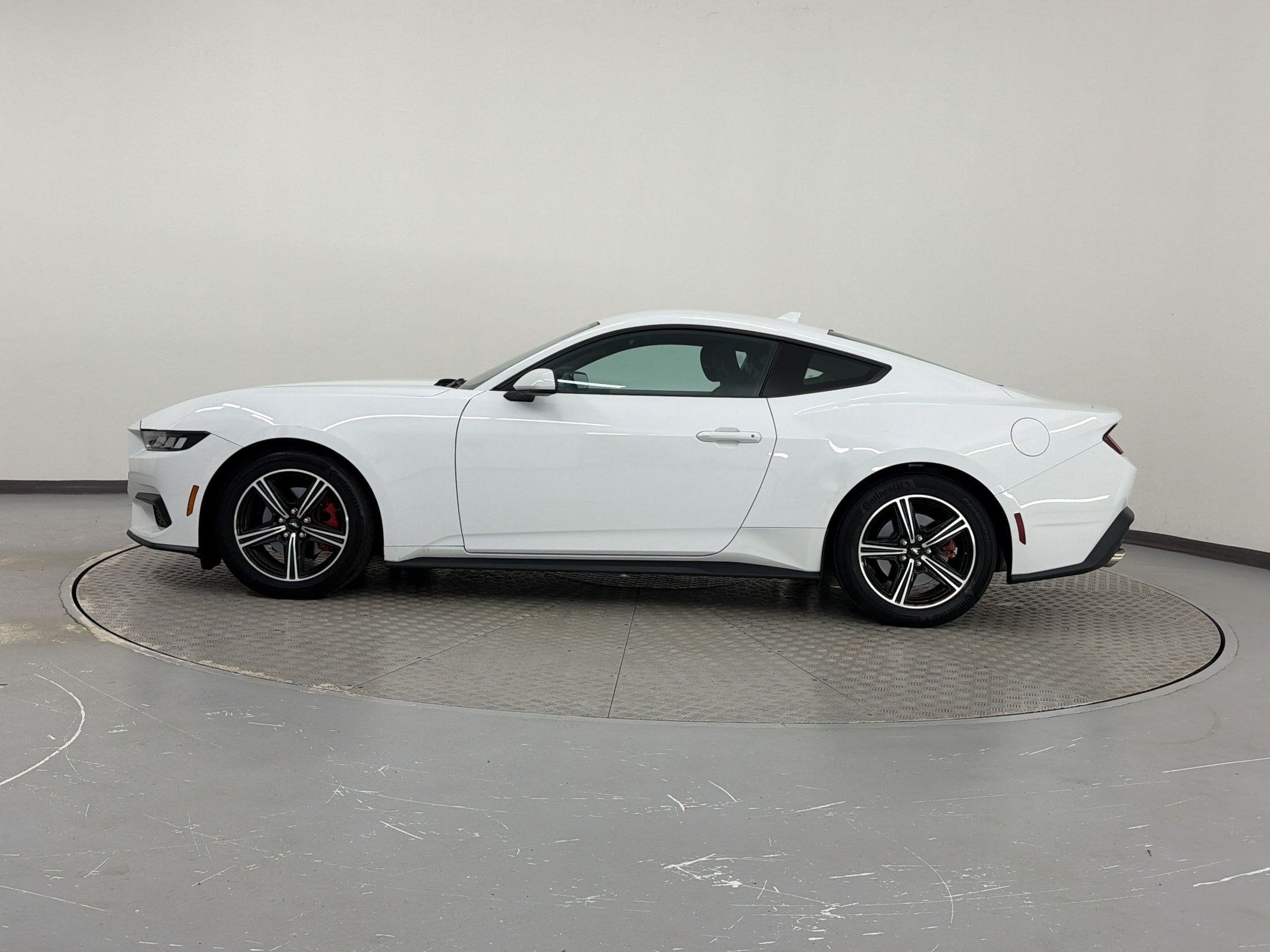 Mustang Coupe