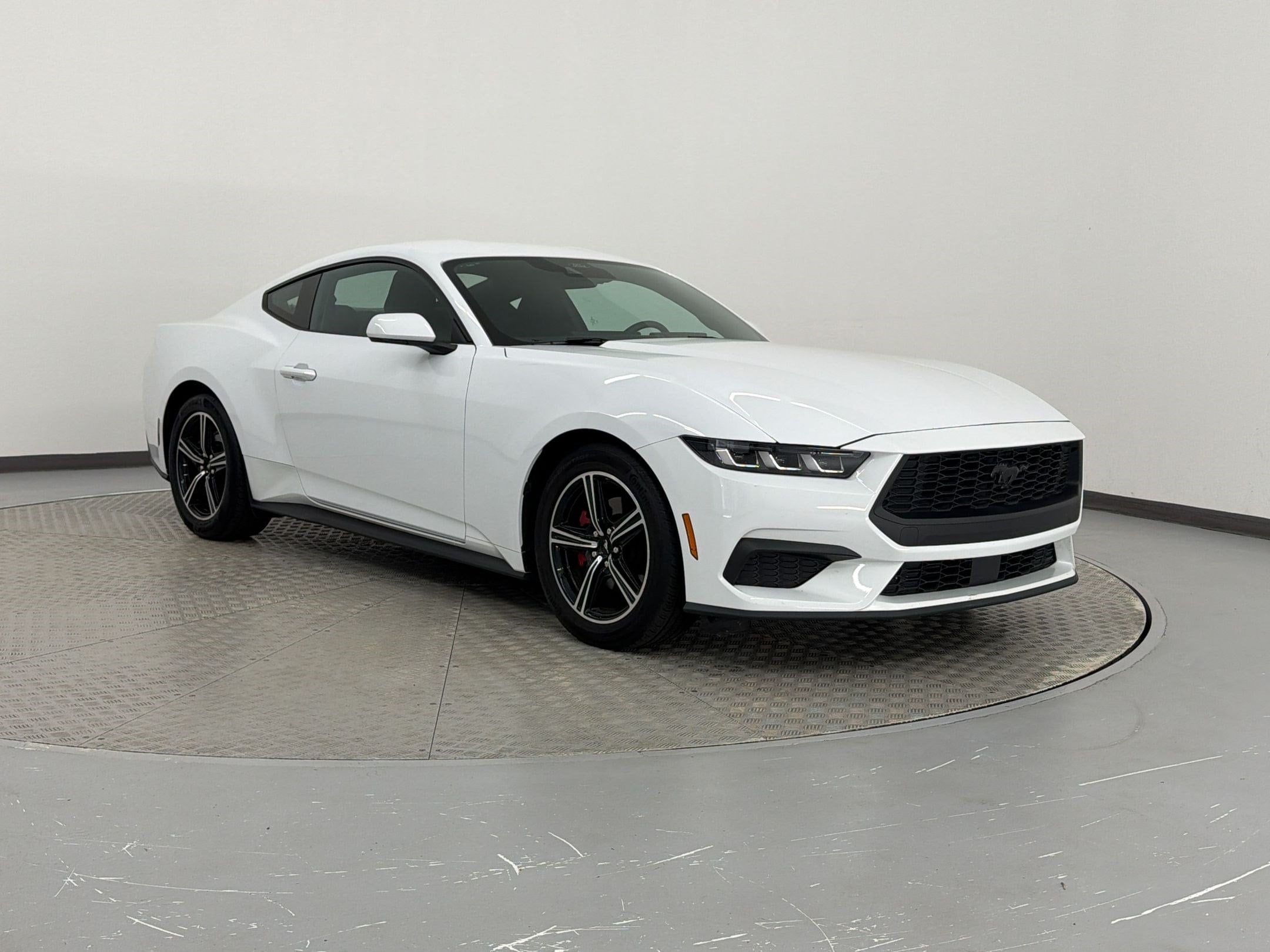 Mustang Coupe
