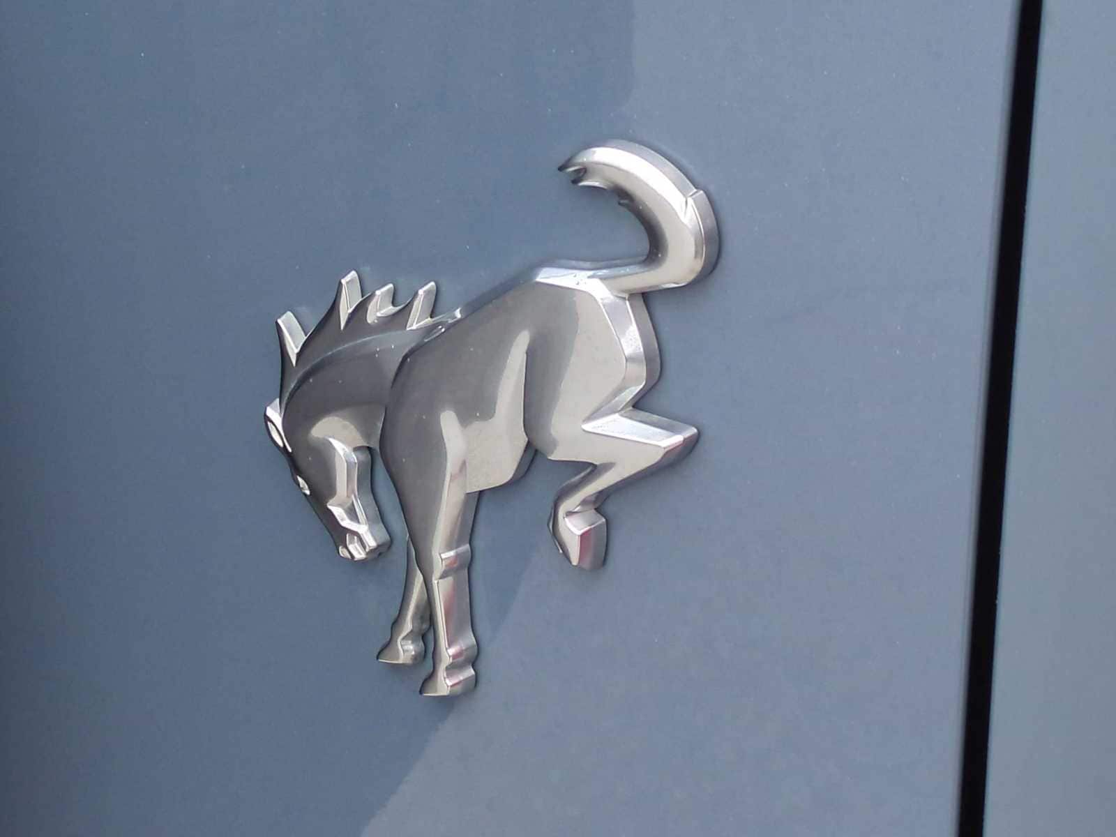 Thumbnail: 2023 Ford Bronco - 31