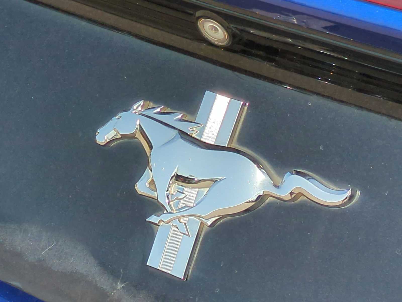Thumbnail: 2016 Ford Mustang - 28