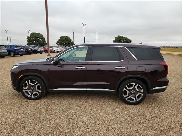 2024 Hyundai Palisade SEL photo 2