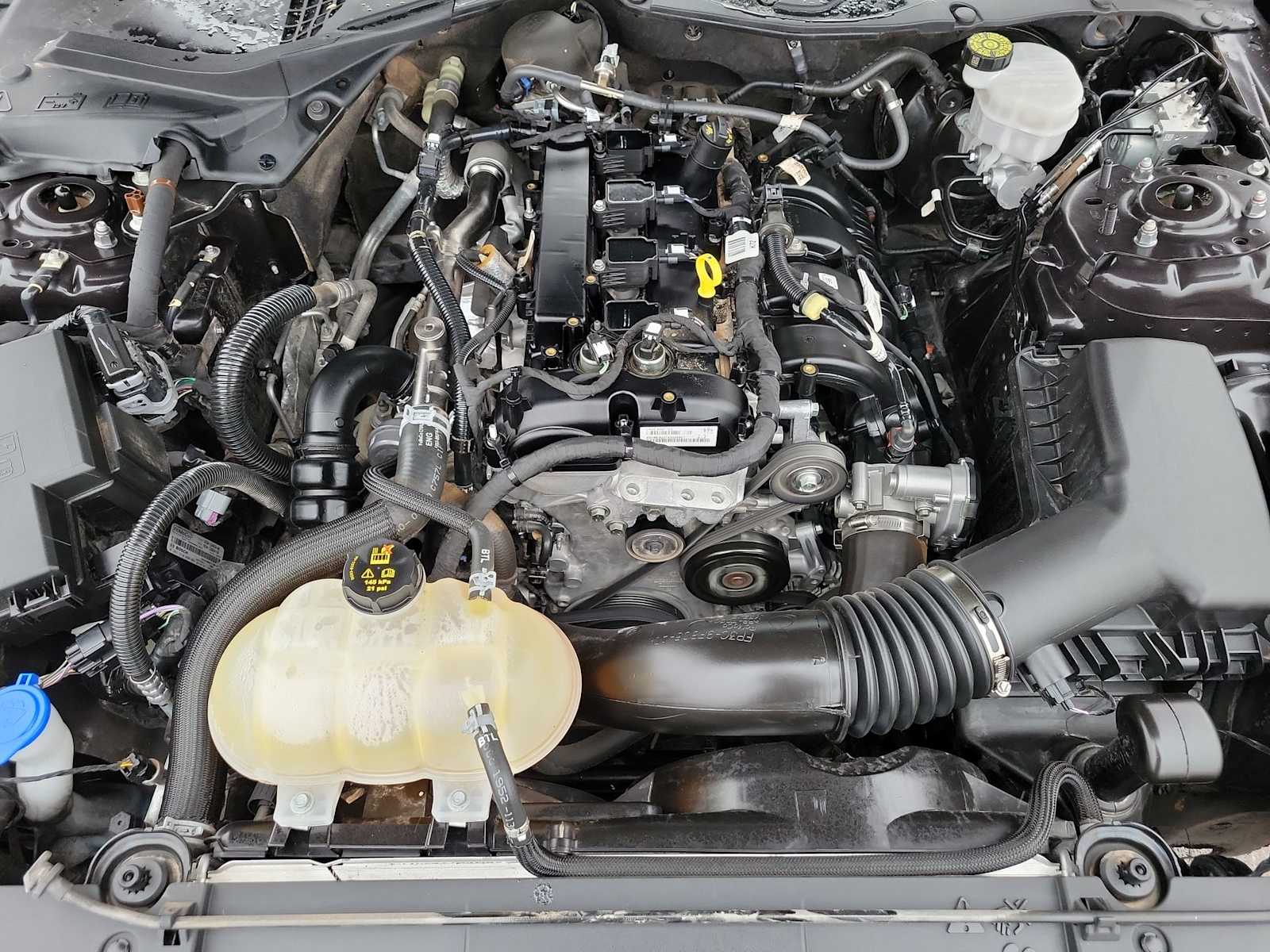 Thumbnail: 2022 Ford Mustang - 17