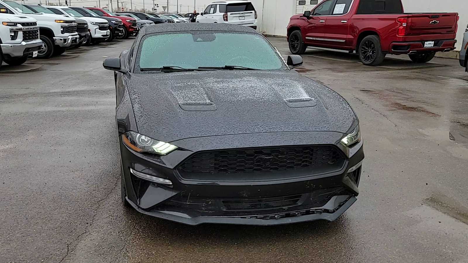 Thumbnail: 2022 Ford Mustang - 3