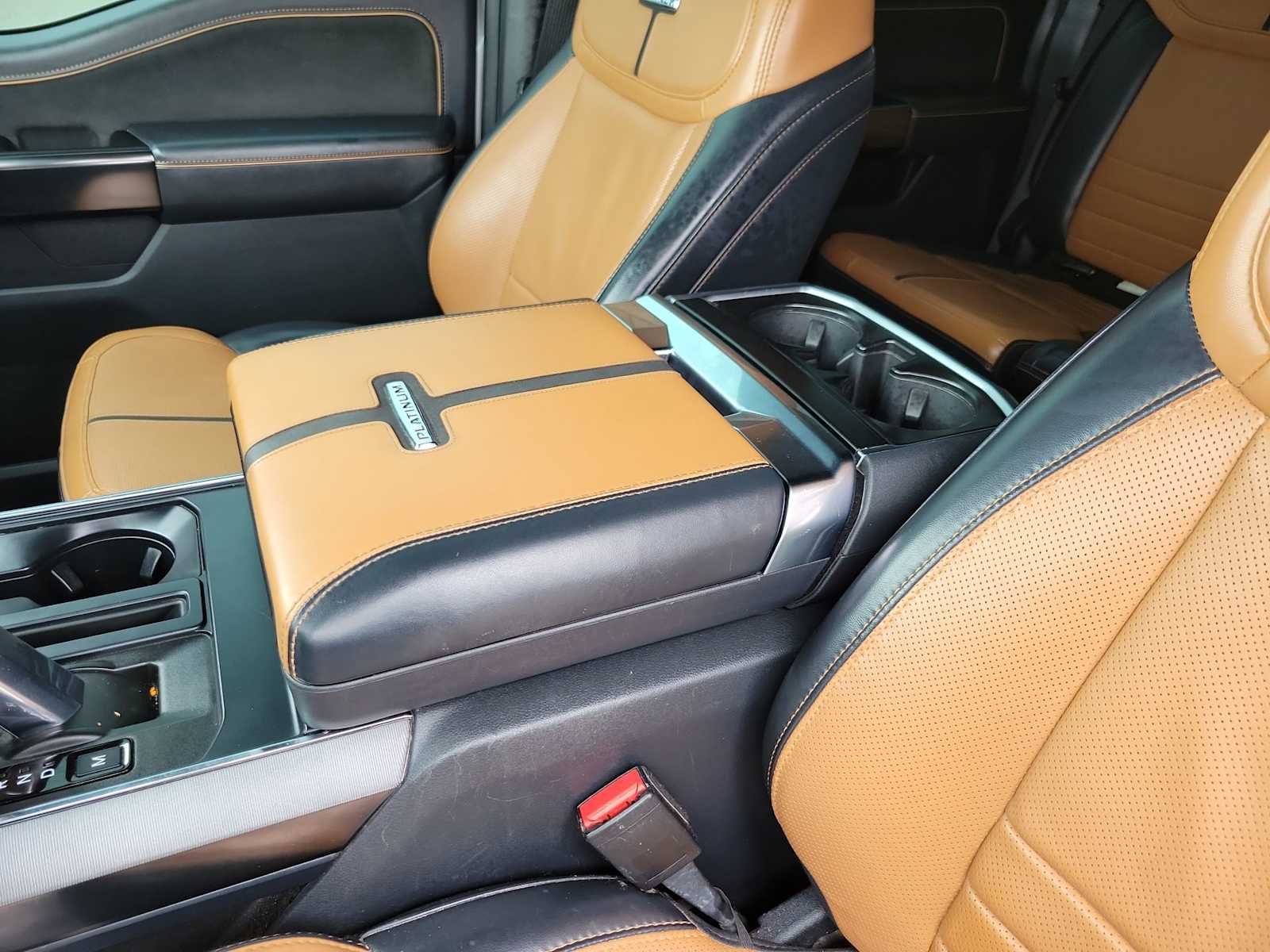 2021 Ford F-150 Platinum 24