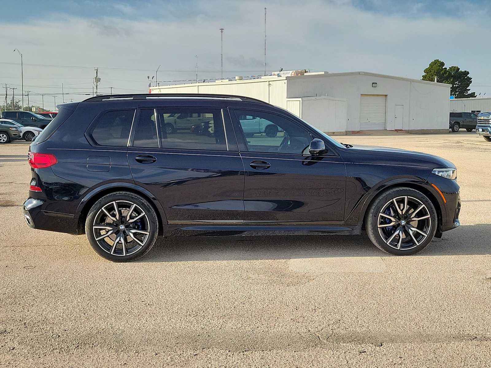 Thumbnail: 2019 BMW X7 - 9