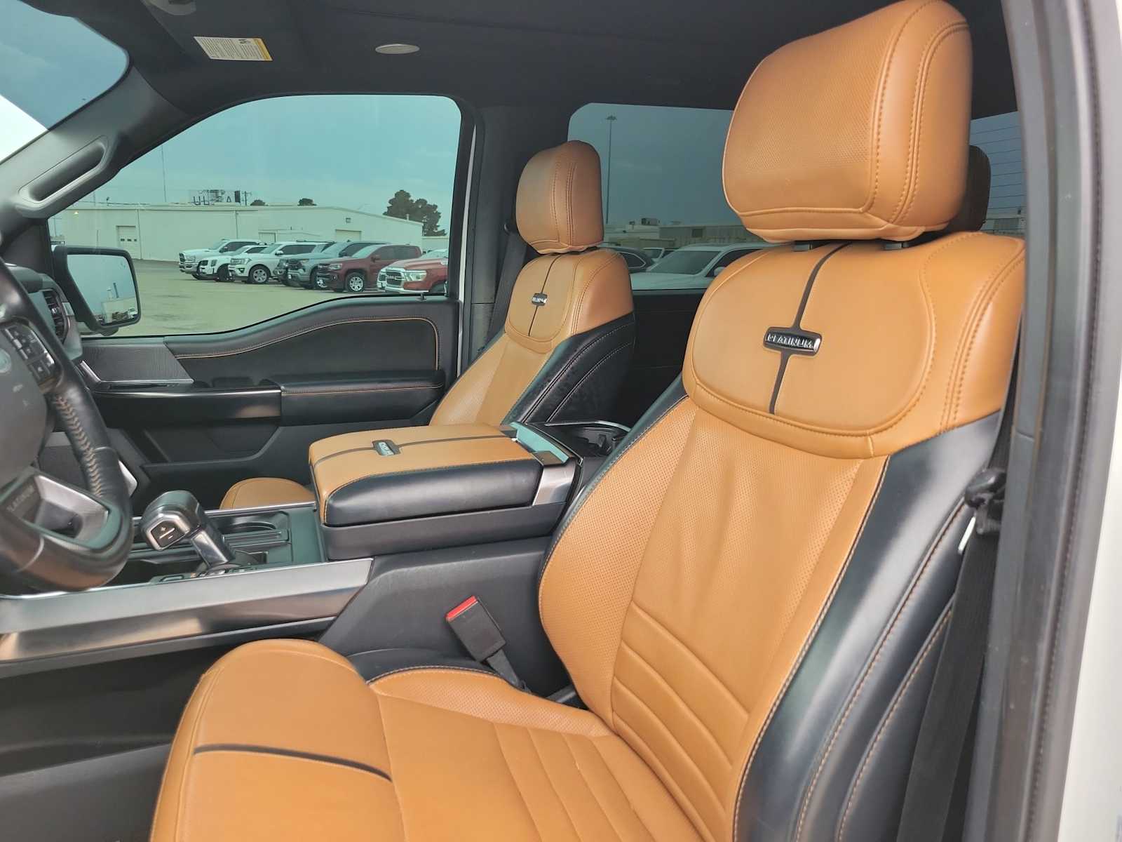 2021 Ford F-150 Platinum 19