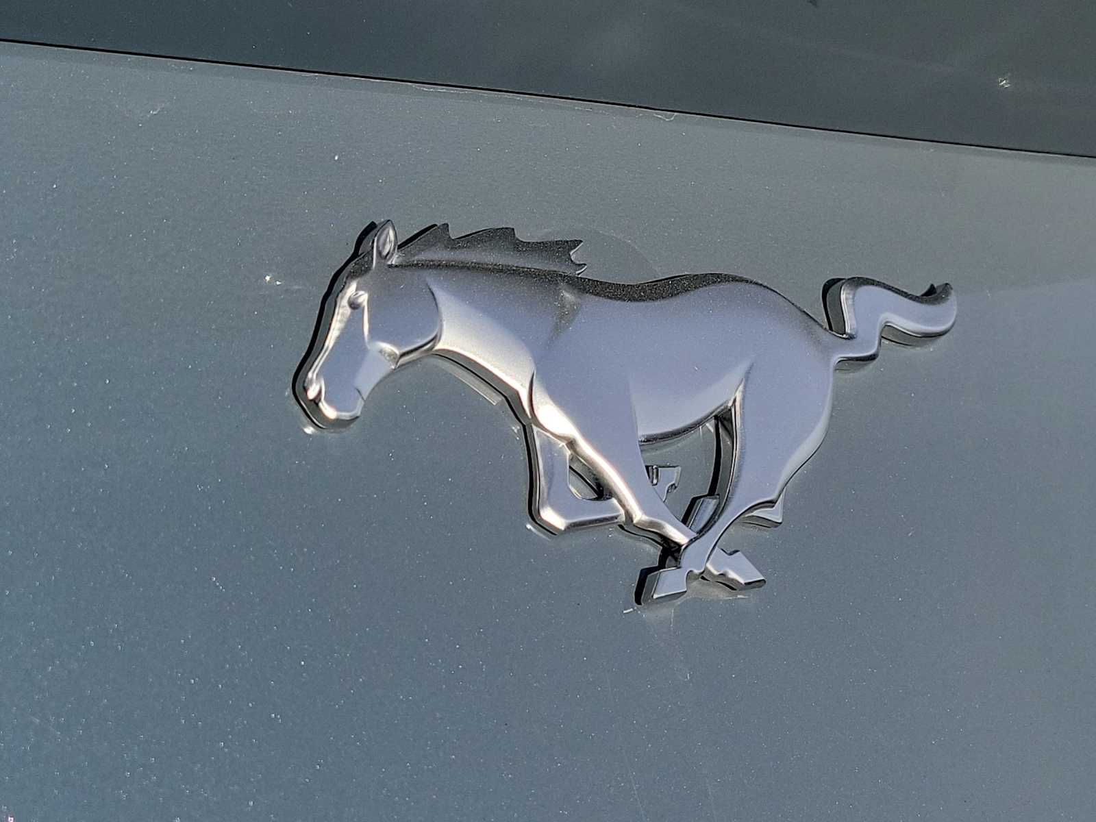 Thumbnail: 2025 Ford Mustang - 15