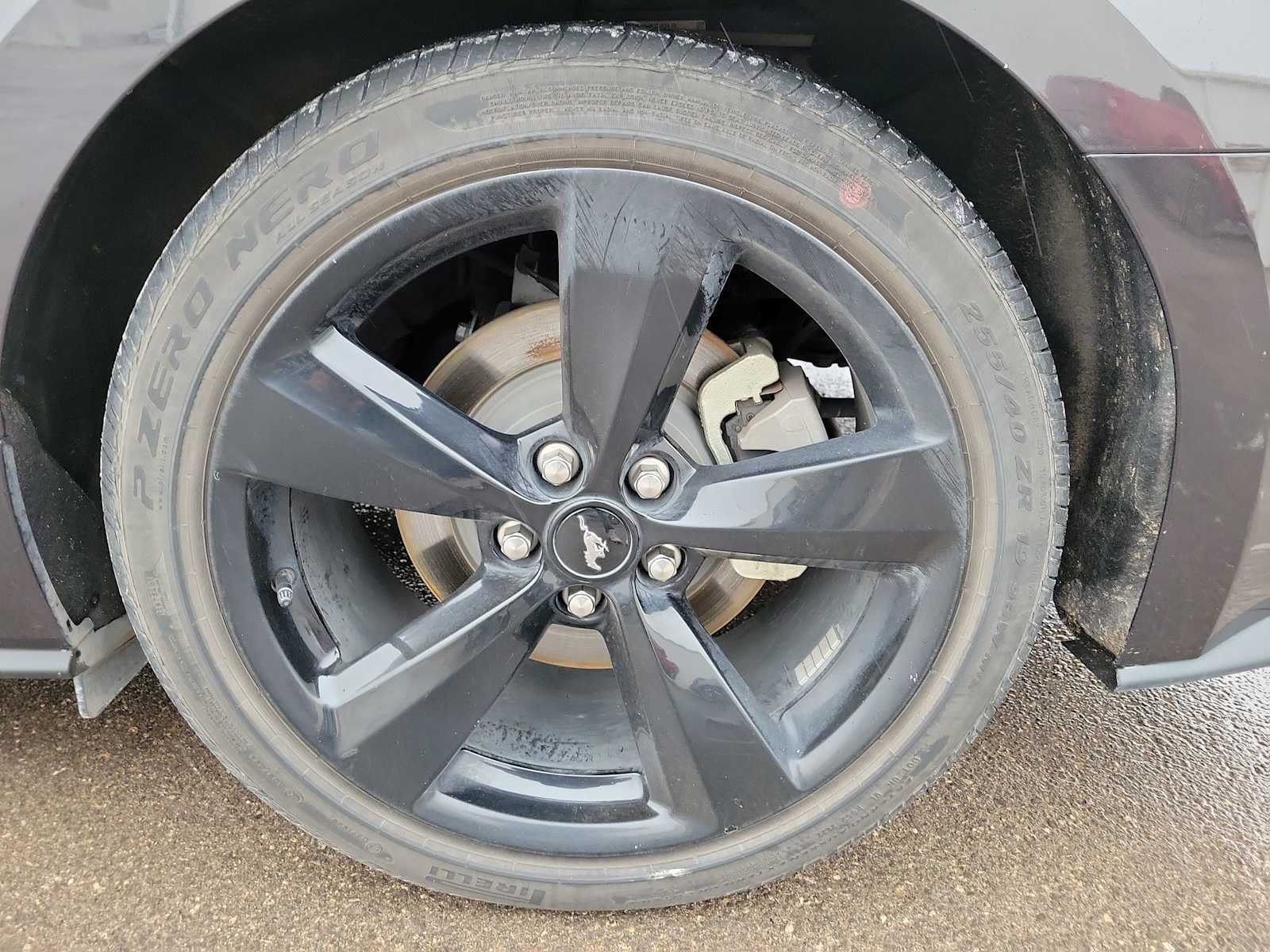 Thumbnail: 2022 Ford Mustang - 16