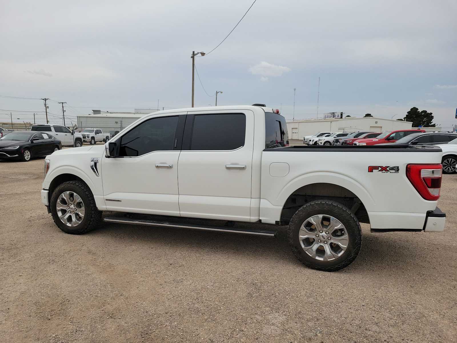2021 Ford F-150 Platinum 11
