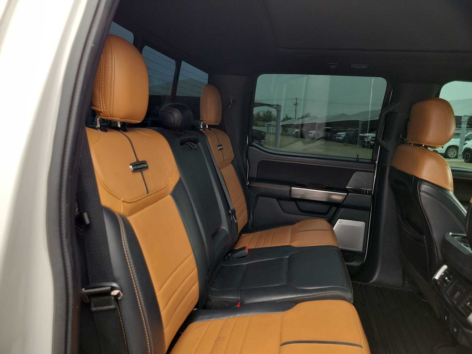 2021 Ford F-150 Platinum 21